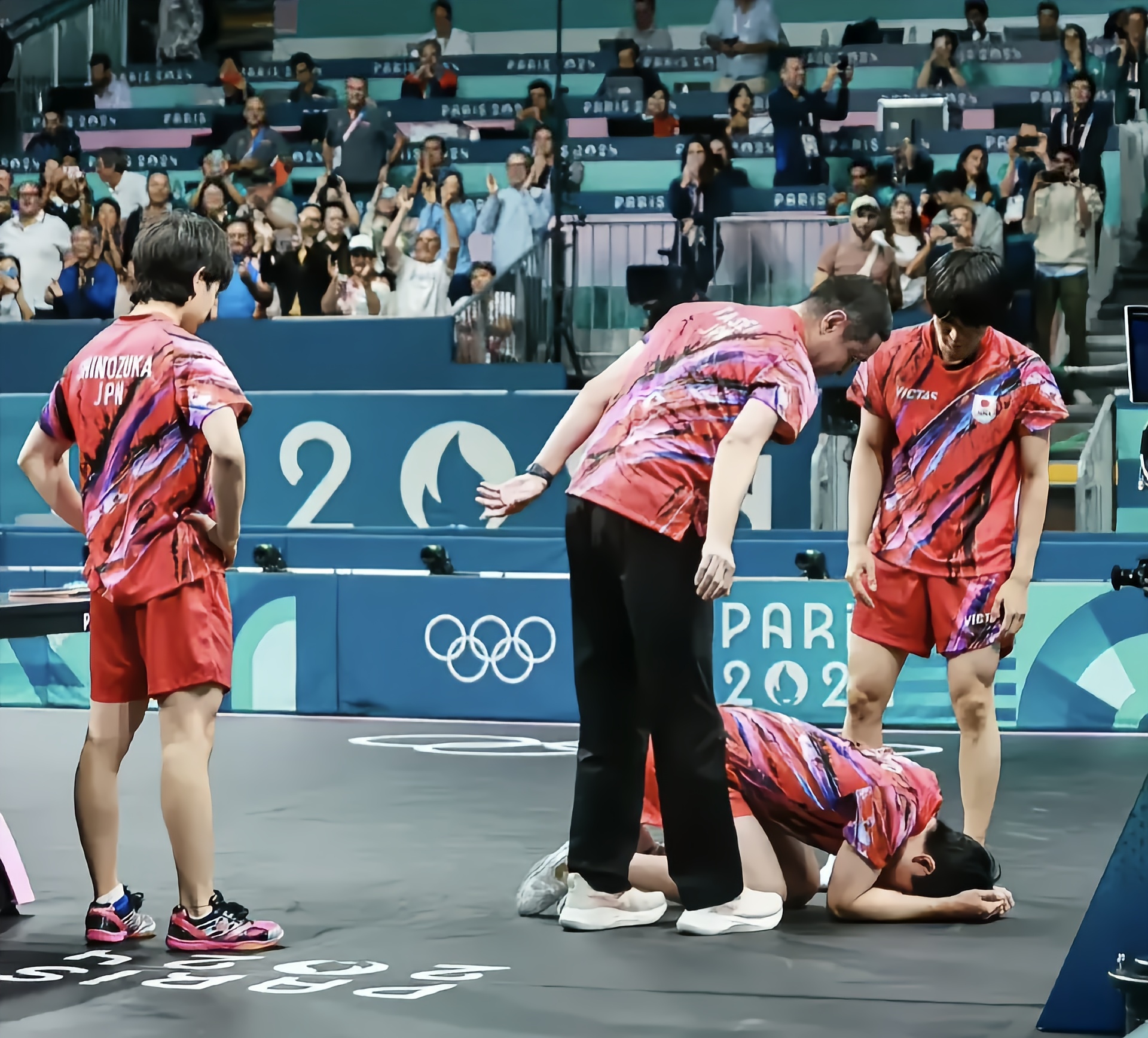 奥地利乒乓球队横扫德国乒乓球队，张本智和制霸全场的简单介绍