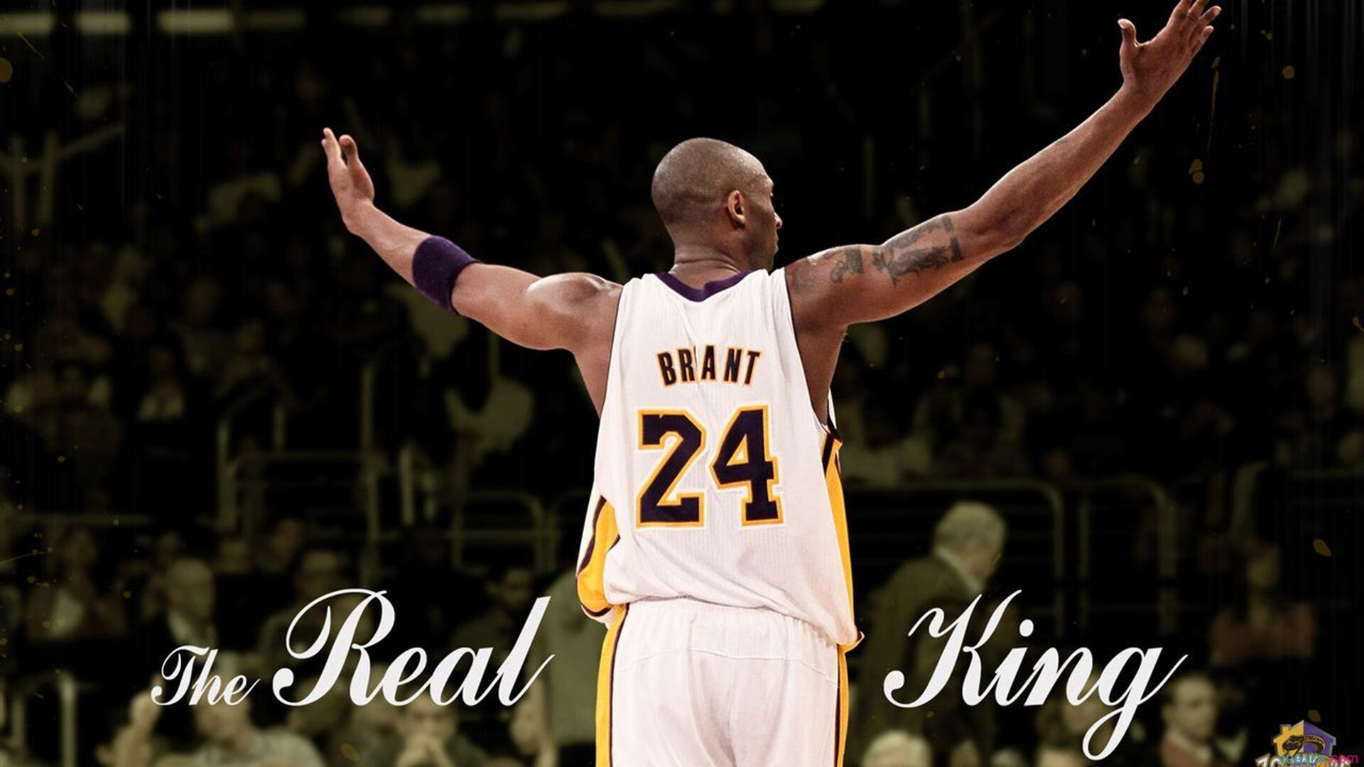 戈贝尔抢七夜封神，一柱擎天，满分背后的唯一性